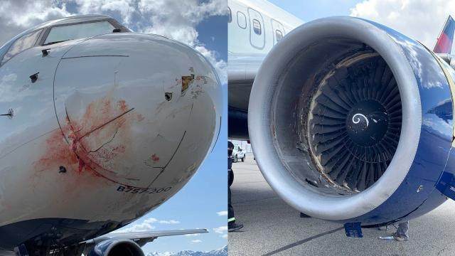 1617264889029026447.jpg 7eed9e86-7cd9-4250-8e39-560688ee8bdf.jpg